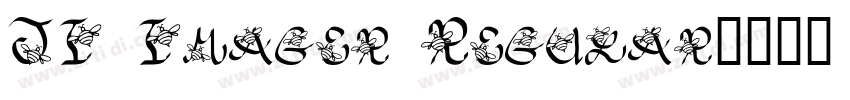 JI Imager Regular字体转换